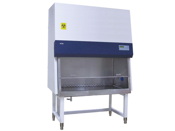 巢湖本地91免费视频入口價格